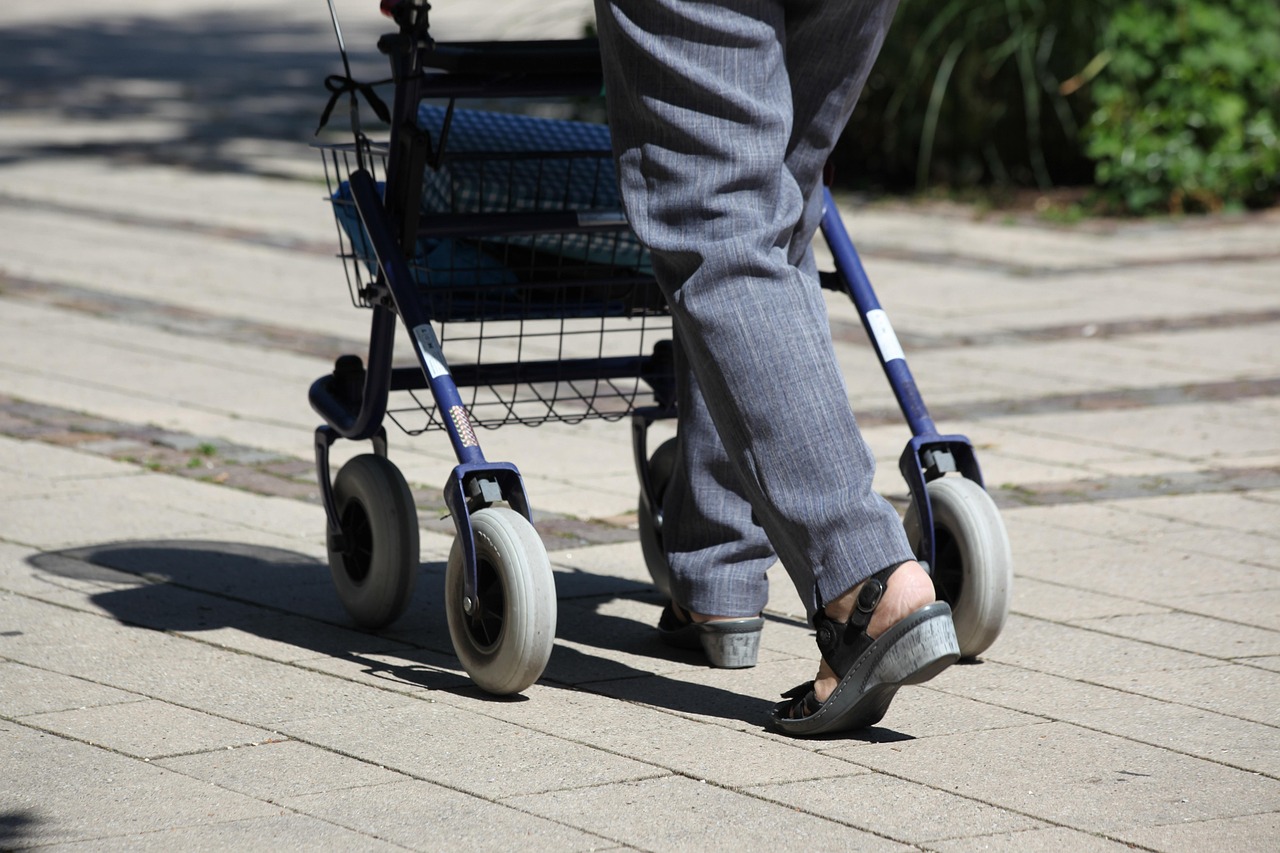 rollator, senior, old human, walker, old, aging, age, fit in old age, seniors, pedestrian, road, rollator, rollator, rollator, rollator, walker, walker, walker, walker, walker